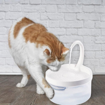 Automatic Pet Cat Fountain