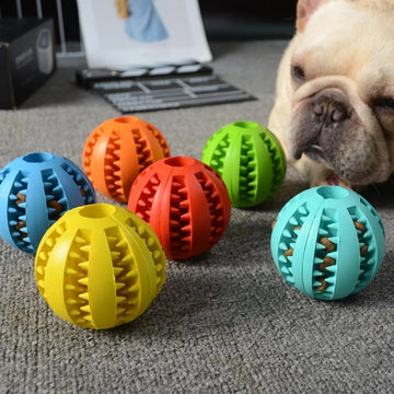 Dog Interactive Rubber Ball