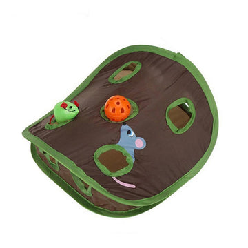 Mouse Hunt Pop-up Toy