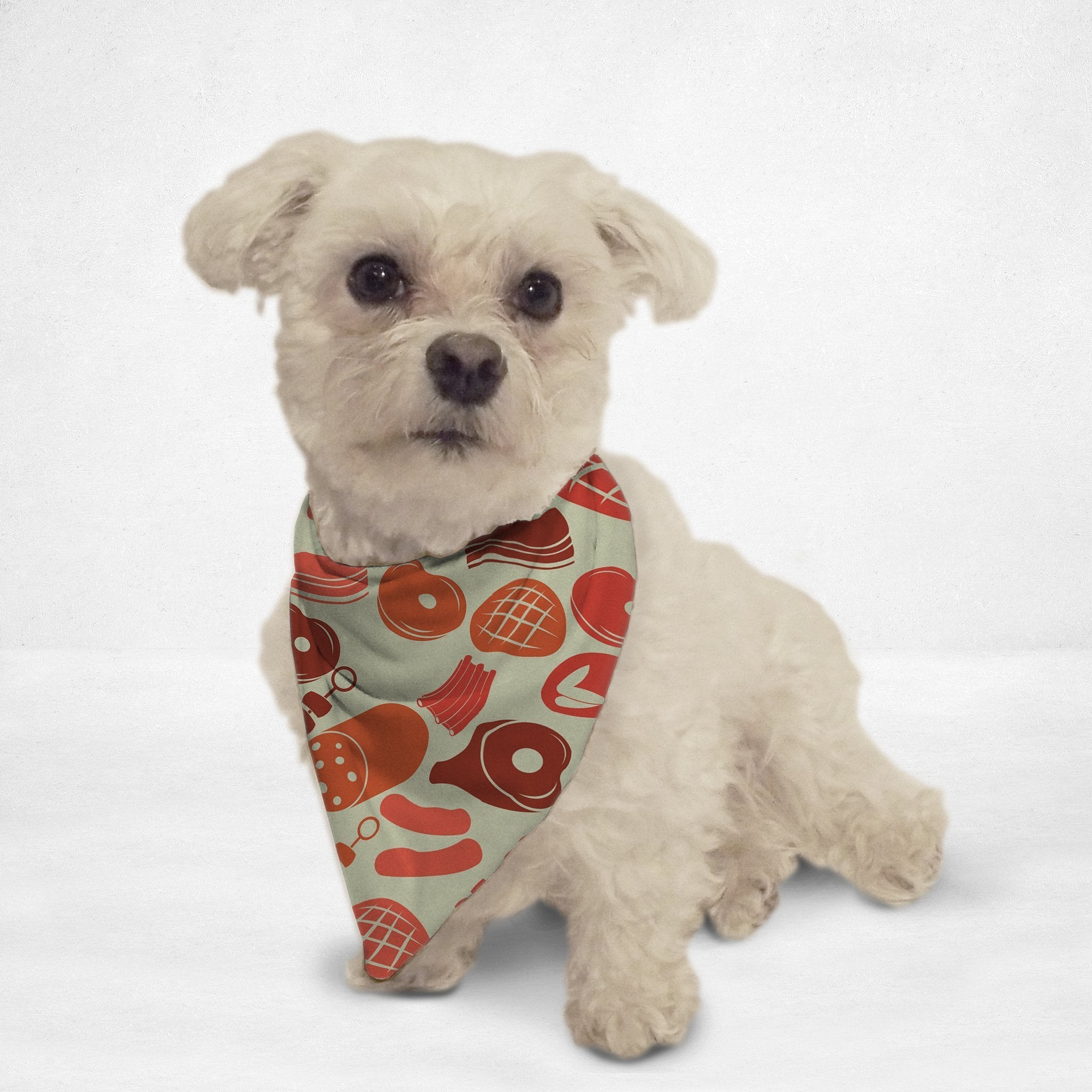 Meaty Cat & Dog Bandana