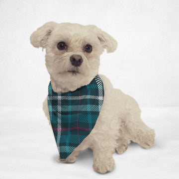 Teal Plaid Cat & Dog Bandana